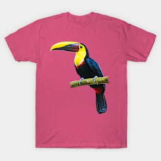 Toucan on a Branch (cutout with light green background) T-Shirt